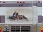 Tiger Mural