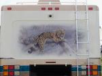 Leopard Mural