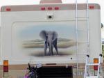 Elephant Mural