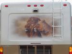 Lion Mural