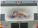 Tiger Mural