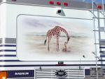 Giraffe Mural