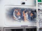 Tiger Mural