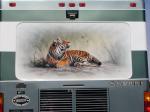 Tiger Mural