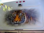 Tiger Mural