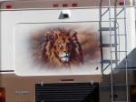 lion Mural