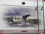 Wild_Animal Mural