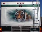 Tiger Mural