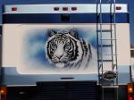 Tiger Mural