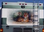 Tiger Mural