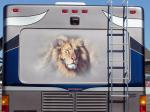 Lion Mural