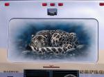 Leopard Mural