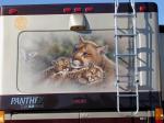 Cougar Mural