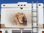 Lion Mural