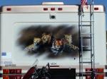 Wild_Cat Mural