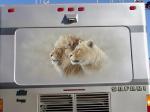 Lion Mural