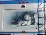 Tiger Mural