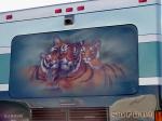 Tiger Mural