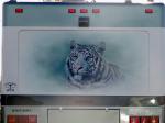 Tiger Mural