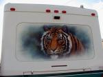 Tiger Mural