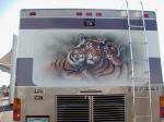 Tiger Mural