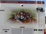 Tiger Mural