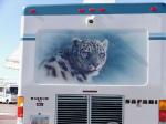 Leopard Mural