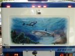 Sea_Life Mural